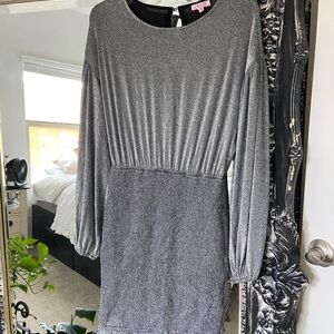 Shimmering Gray Long Sleeve Dress
